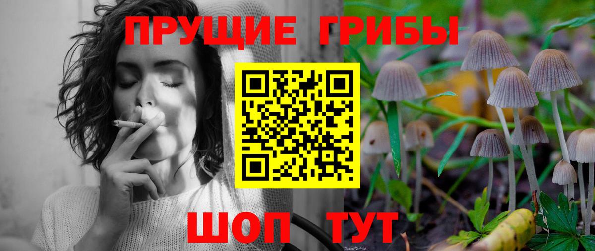 Бийск  Псилоцибиновые грибы ЛСД  Вход с VPN  Псилоцибиновые грибы ЛСД 